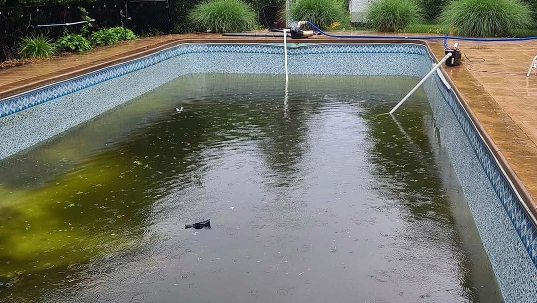 Pool and Spa Repairs, Renovations, Maintenance
